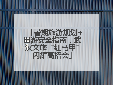 暑期旅游规划+出游安全指南，武汉文旅“红马甲”闪耀高招会