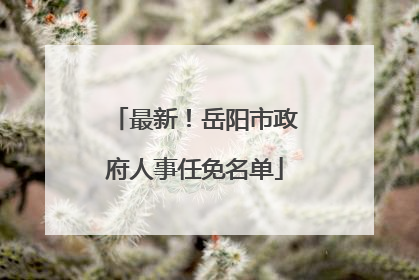 最新！岳阳市政府人事任免名单