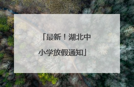 最新！湖北中小学放假通知