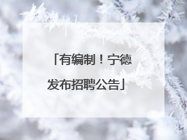 有编制！宁德发布招聘公告
