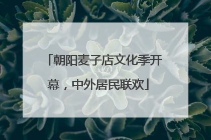 朝阳麦子店文化季开幕，中外居民联欢