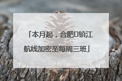 本月起，合肥⇋镇江航线加密至每周三班