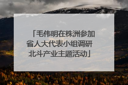 毛伟明在株洲参加省人大代表小组调研北斗产业主题活动