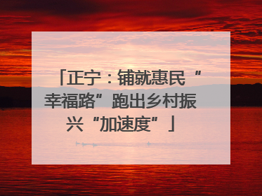 正宁：铺就惠民“幸福路”跑出乡村振兴“加速度”