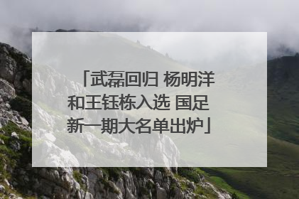 武磊回归 杨明洋和王钰栋入选 国足新一期大名单出炉