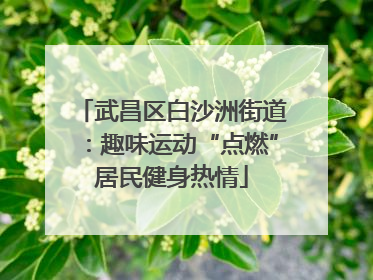 武昌区白沙洲街道：趣味运动“点燃”居民健身热情