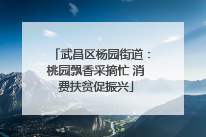 武昌区杨园街道：桃园飘香采摘忙 消费扶贫促振兴