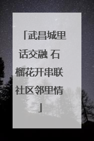 武昌城里话交融 石榴花开串联社区邻里情