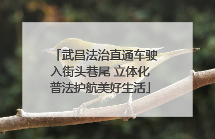 武昌法治直通车驶入街头巷尾 立体化普法护航美好生活