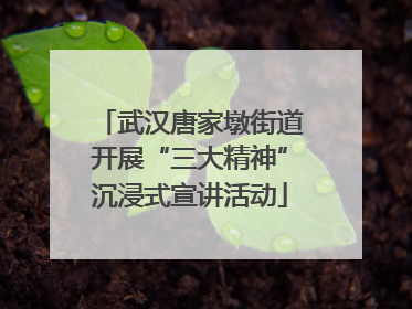 武汉唐家墩街道开展“三大精神”沉浸式宣讲活动
