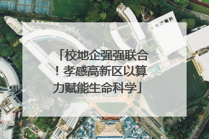 校地企强强联合！孝感高新区以算力赋能生命科学