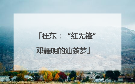 桂东：“红先锋”邓耀明的油茶梦
