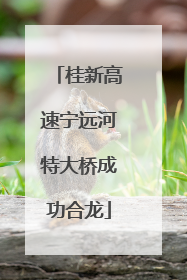 桂新高速宁远河特大桥成功合龙