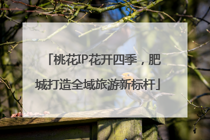 桃花IP花开四季，肥城打造全域旅游新标杆