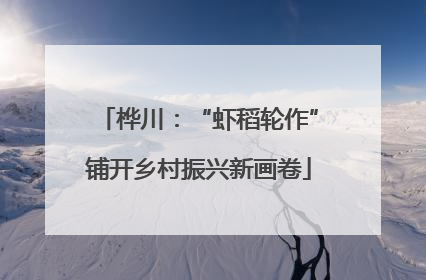 桦川：“虾稻轮作”铺开乡村振兴新画卷