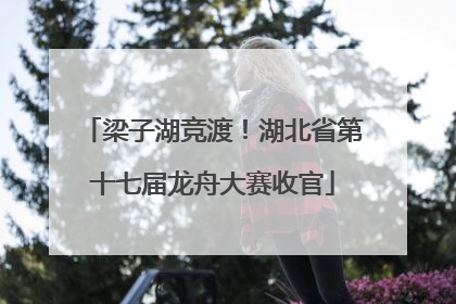 梁子湖竞渡！湖北省第十七届龙舟大赛收官