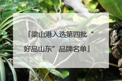 梁山港入选第四批“好品山东”品牌名单