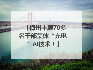 梅州丰顺70多名干部集体“充电”AI技术！