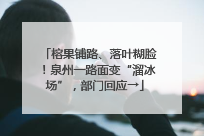 榕果铺路、落叶糊脸！泉州一路面变“溜冰场”，部门回应→
