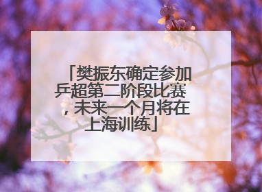 樊振东确定参加乒超第二阶段比赛，未来一个月将在上海训练