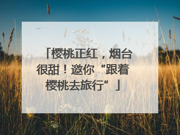 樱桃正红，烟台很甜！邀你“跟着樱桃去旅行”