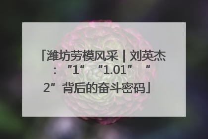 潍坊劳模风采｜刘英杰：“1”“1.01”“2”背后的奋斗密码