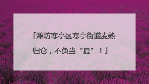 潍坊寒亭区寒亭街道麦熟归仓，不负当“夏”！