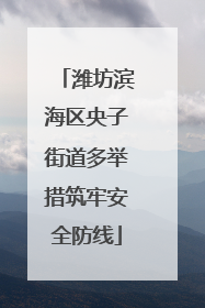 潍坊滨海区央子街道多举措筑牢安全防线