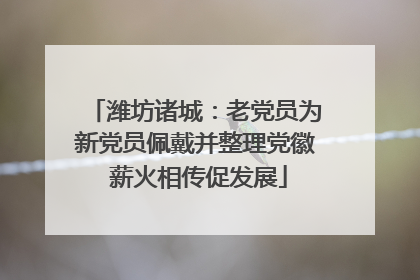 潍坊诸城：老党员为新党员佩戴并整理党徽 薪火相传促发展