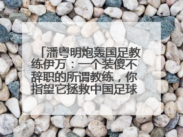 潘粤明炮轰国足教练伊万：一个装傻不辞职的所谓教练，你指望它拯救中国足球！此前曾多次发文评价国足