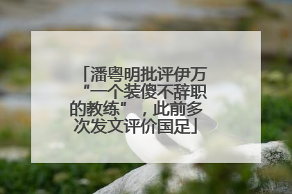 潘粤明批评伊万“一个装傻不辞职的教练”，此前多次发文评价国足