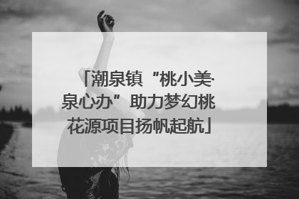 潮泉镇“桃小美·泉心办”助力梦幻桃花源项目扬帆起航