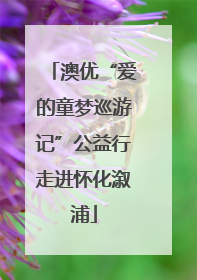 澳优“爱的童梦巡游记”公益行走进怀化溆浦