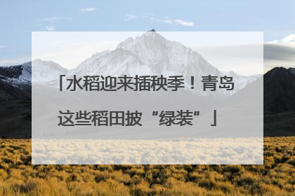 水稻迎来插秧季！青岛这些稻田披“绿装”