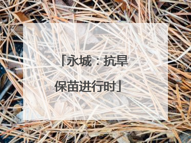 永城：抗旱保苗进行时