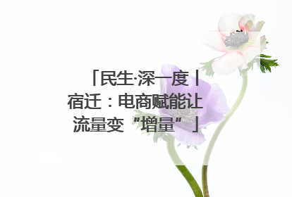 民生·深一度丨宿迁：电商赋能让流量变“增量”
