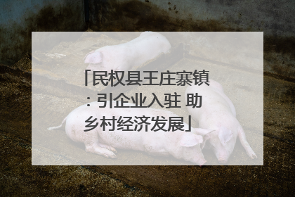 民权县王庄寨镇：引企业入驻 助乡村经济发展