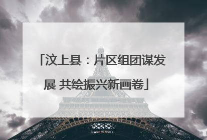 汶上县：片区组团谋发展 共绘振兴新画卷