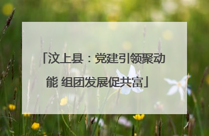 汶上县：党建引领聚动能 组团发展促共富