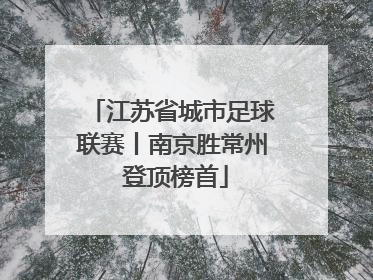 江苏省城市足球联赛丨南京胜常州 登顶榜首