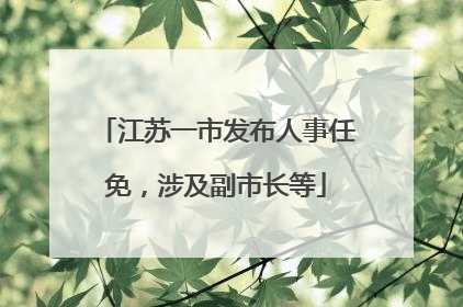 江苏一市发布人事任免，涉及副市长等