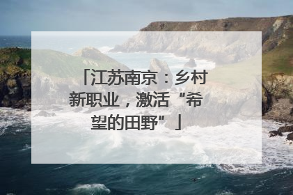 江苏南京：乡村新职业，激活“希望的田野”