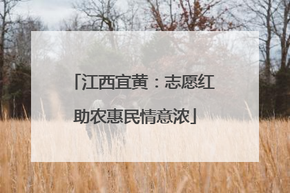 江西宜黄：志愿红助农惠民情意浓