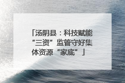 汤阴县：科技赋能“三资”监管守好集体资源“家底”