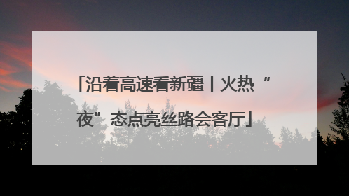 沿着高速看新疆丨火热“夜”态点亮丝路会客厅