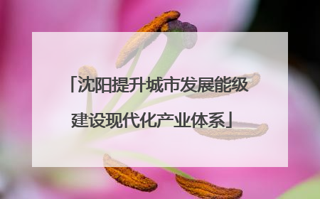 沈阳提升城市发展能级 建设现代化产业体系