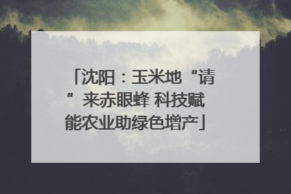 沈阳：玉米地“请”来赤眼蜂 科技赋能农业助绿色增产