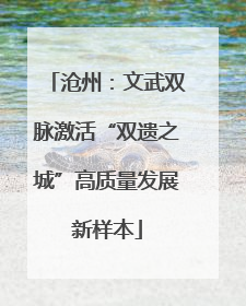 沧州：文武双脉激活“双遗之城”高质量发展新样本