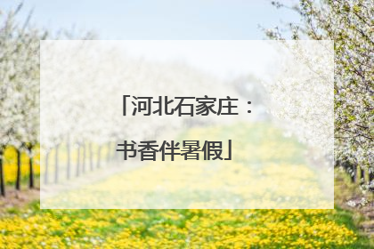 河北石家庄：书香伴暑假