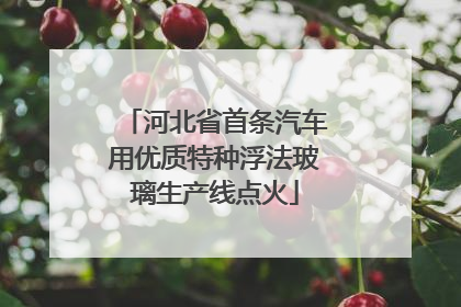 河北省首条汽车用优质特种浮法玻璃生产线点火